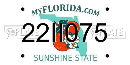 22II075 Florida License Plate