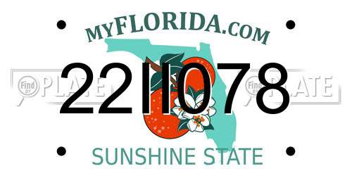 22II078 Florida License Plate