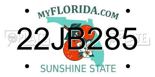 22JB285 Florida License Plate