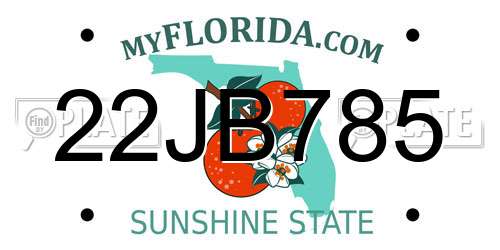 22JB785 Florida License Plate