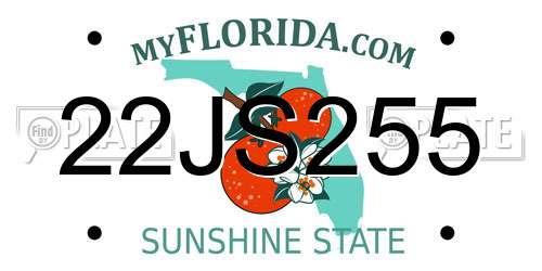 22JS255 Florida License Plate