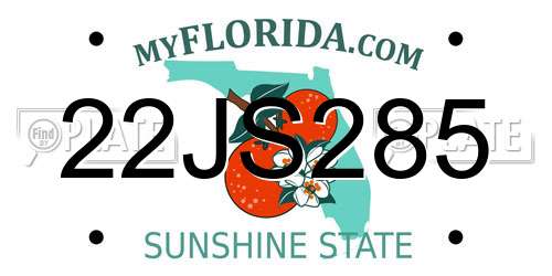 22JS285 Florida License Plate
