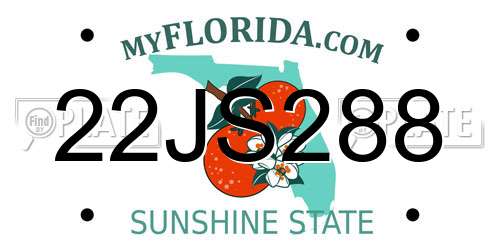 22JS288 Florida License Plate