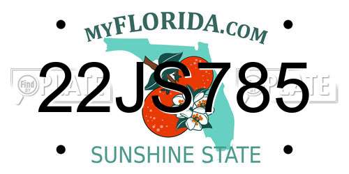 22JS785 Florida License Plate
