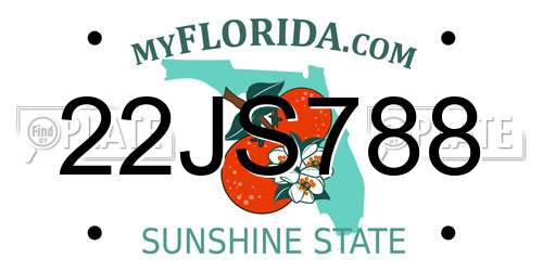 22JS788 Florida License Plate