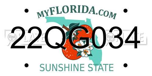 22QG034 Florida License Plate