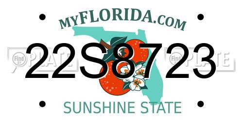 22S8723 Florida License Plate