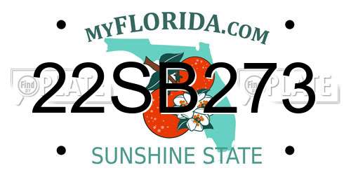 22SB273 Florida License Plate