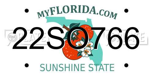 22SO766 Florida License Plate