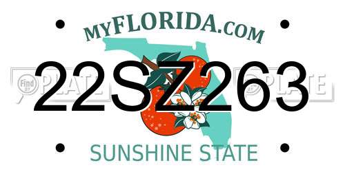 22SZ263 Florida License Plate