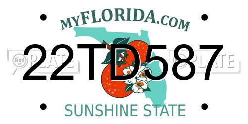 22TD587 Florida License Plate