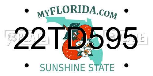 22TD595 Florida License Plate