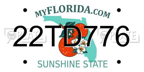 22TD776 Florida License Plate