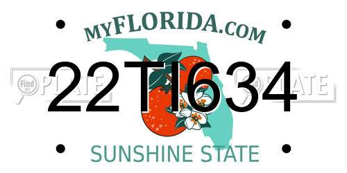 22TI634 Florida License Plate