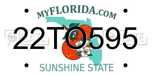 22TO595 Florida License Plate