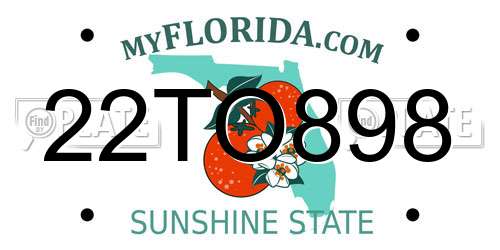 22TO898 Florida License Plate