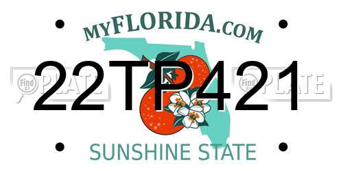 22TP421 Florida License Plate