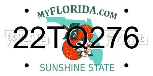22TQ276 Florida License Plate