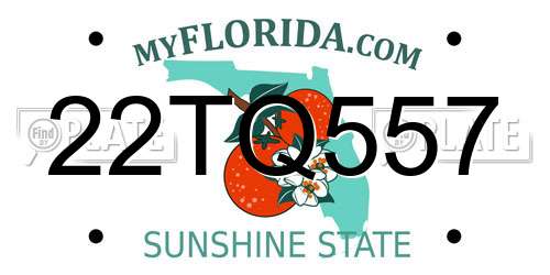 22TQ557 Florida License Plate