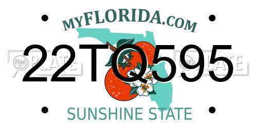 22TQ595 Florida License Plate