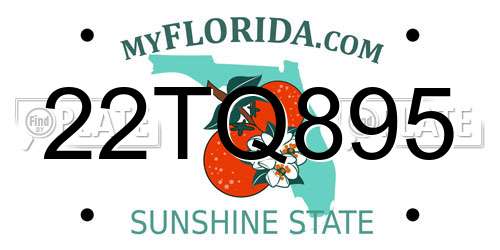 22TQ895 Florida License Plate