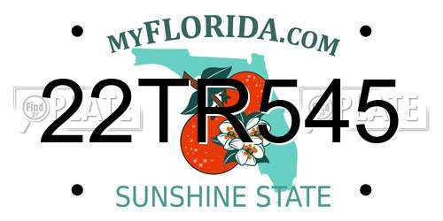 22TR545 Florida License Plate
