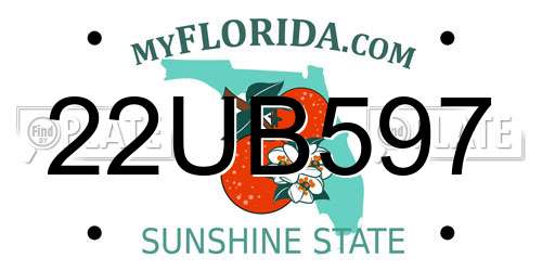 22UB597 Florida License Plate