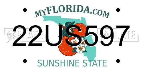 22US597 Florida License Plate