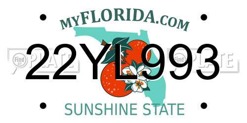22YL993 Florida License Plate