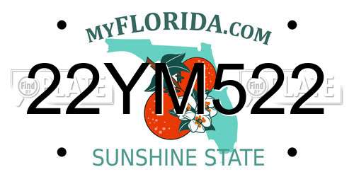 22YM522 Florida License Plate
