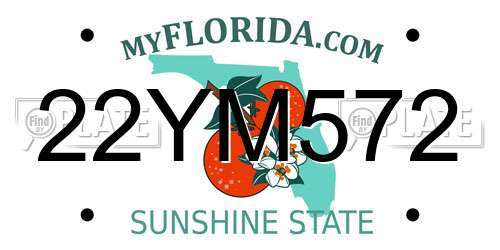 22YM572 Florida License Plate