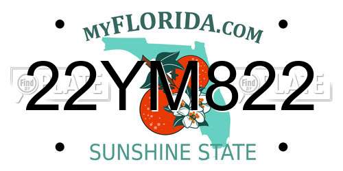 22YM822 Florida License Plate