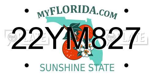 22YM827 Florida License Plate