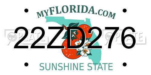 22ZD276 Florida License Plate