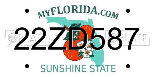 22ZD587 Florida License Plate