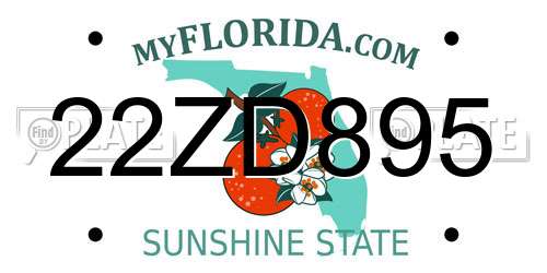22ZD895 Florida License Plate