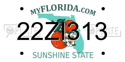 22ZI313 Florida License Plate