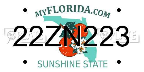 22ZN223 Florida License Plate