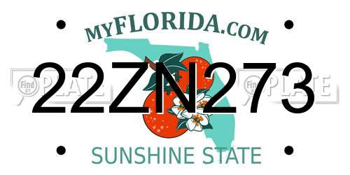 22ZN273 Florida License Plate