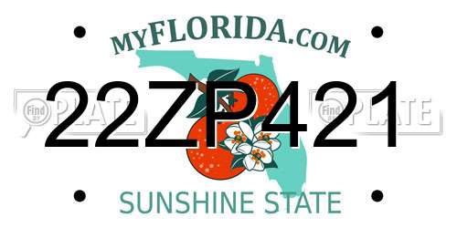 22ZP421 Florida License Plate