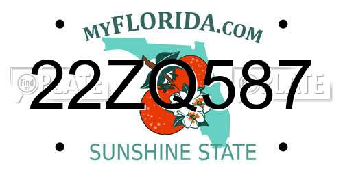 22ZQ587 Florida License Plate