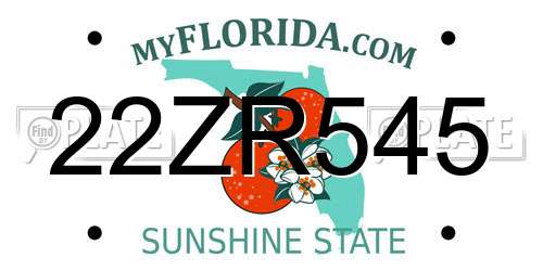 22ZR545 Florida License Plate