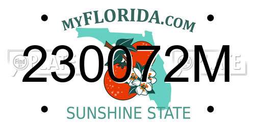230072M Florida License Plate