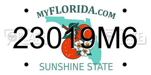 23019M6 Florida License Plate