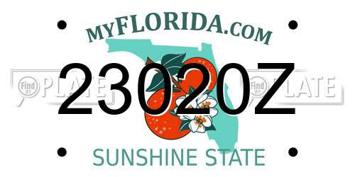 23020Z Florida License Plate