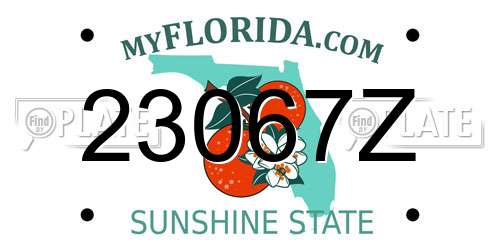 23067Z Florida License Plate