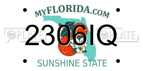 2306IQ Florida License Plate
