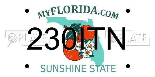 230ITN Florida License Plate