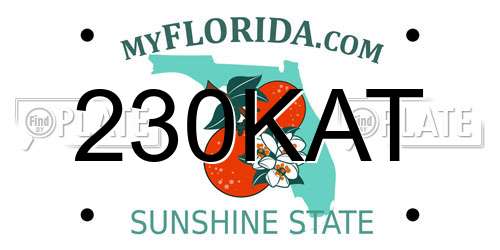 230KAT Florida License Plate