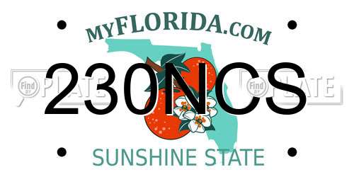 230NCS Florida License Plate